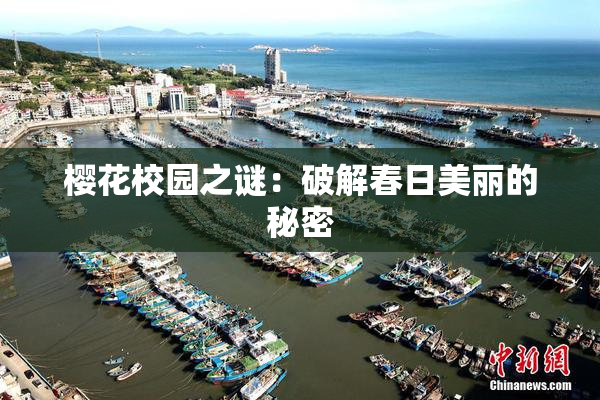 樱花校园之谜：破解春日美丽的秘密