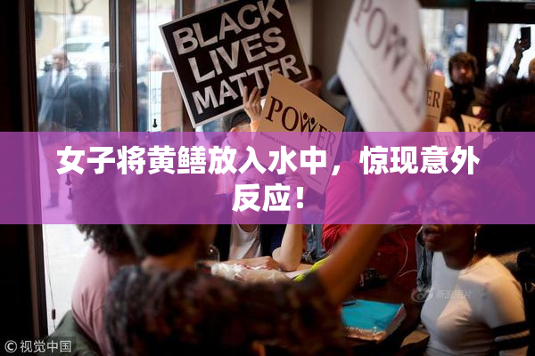 女子将黄鳝放入水中，惊现意外反应！