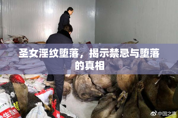 圣女淫纹堕落，揭示禁忌与堕落的真相