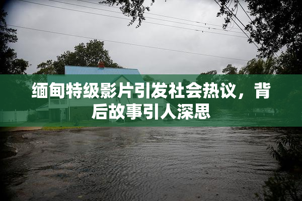 缅甸特级影片引发社会热议，背后故事引人深思