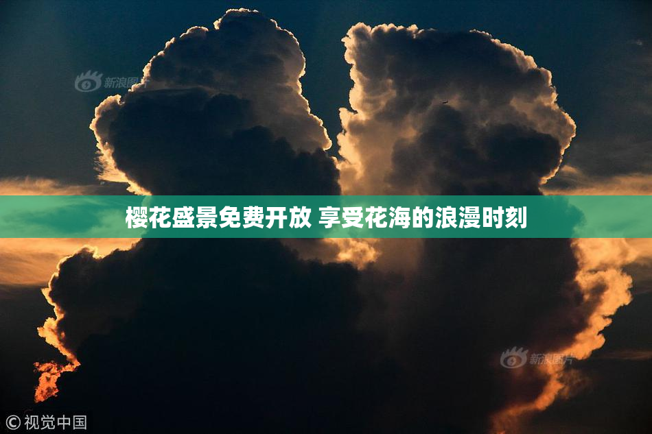 樱花盛景免费开放 享受花海的浪漫时刻