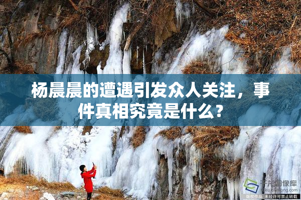 杨晨晨的遭遇引发众人关注，事件真相究竟是什么？