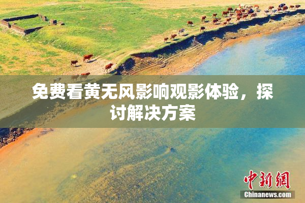 免费看黄无风影响观影体验，探讨解决方案