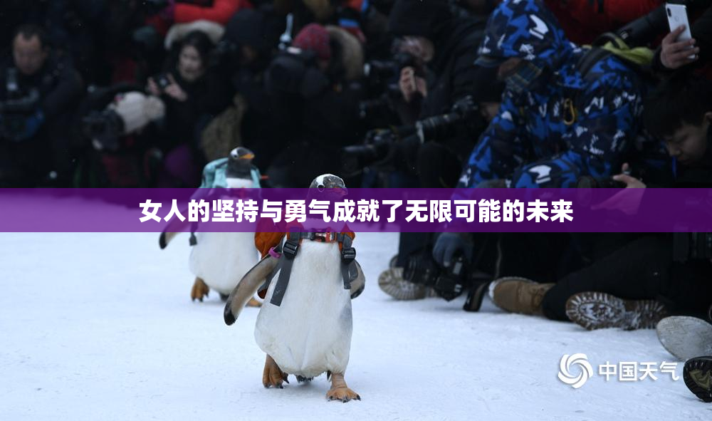 女人的坚持与勇气成就了无限可能的未来