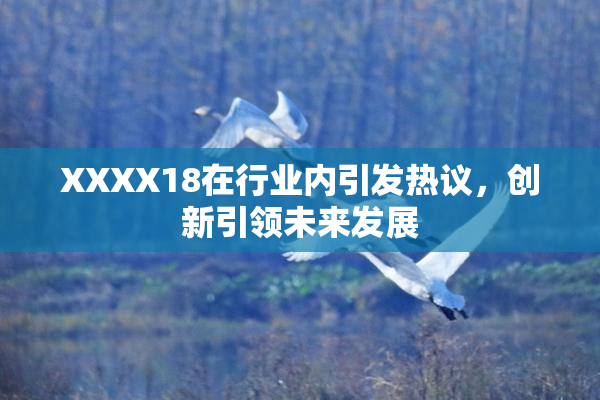 XXXX18在行业内引发热议，创新引领未来发展