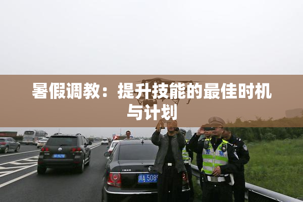 暑假调教：提升技能的最佳时机与计划