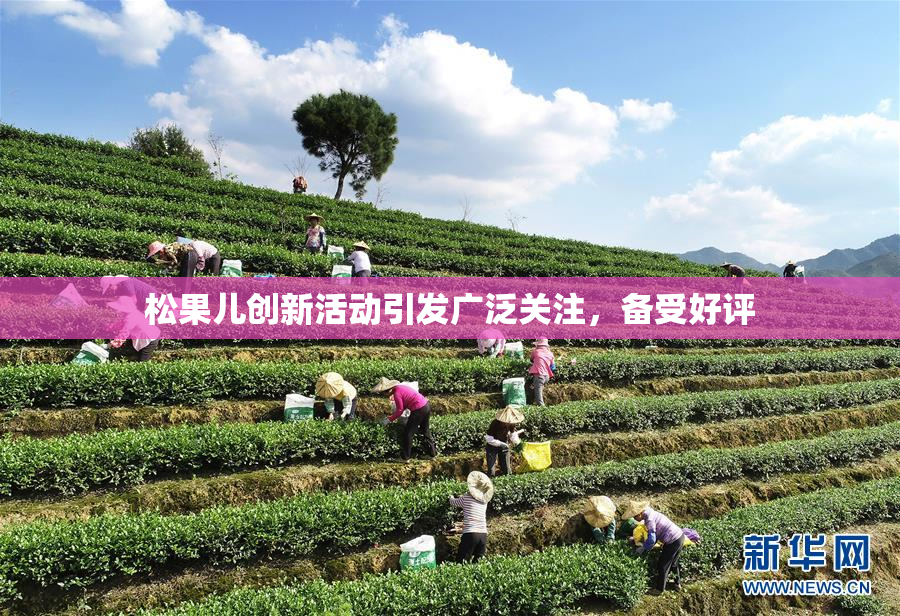 松果儿创新活动引发广泛关注，备受好评