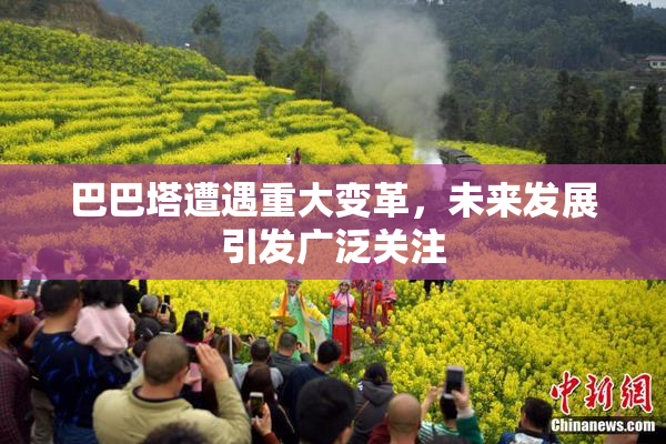 巴巴塔遭遇重大变革，未来发展引发广泛关注