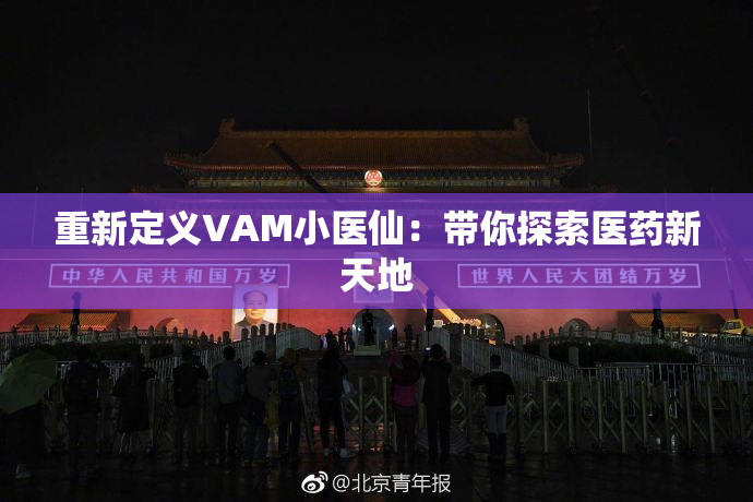 重新定义VAM小医仙：带你探索医药新天地