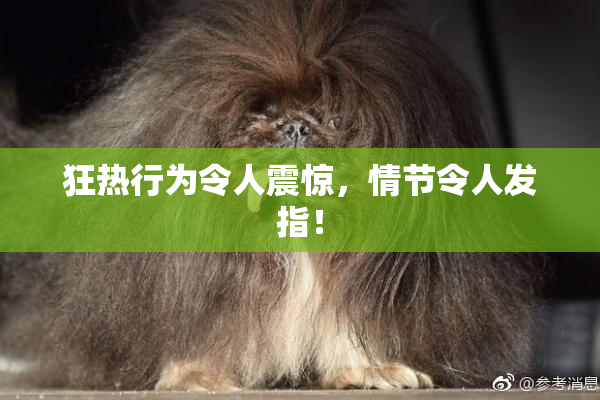 狂热行为令人震惊，情节令人发指！