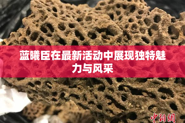 蓝曦臣在最新活动中展现独特魅力与风采