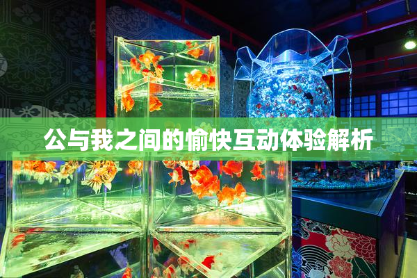 公与我之间的愉快互动体验解析