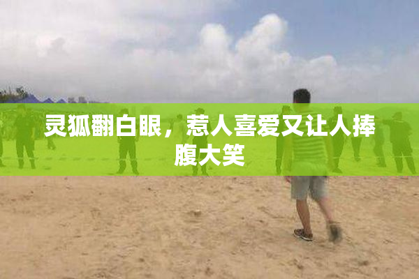 灵狐翻白眼，惹人喜爱又让人捧腹大笑