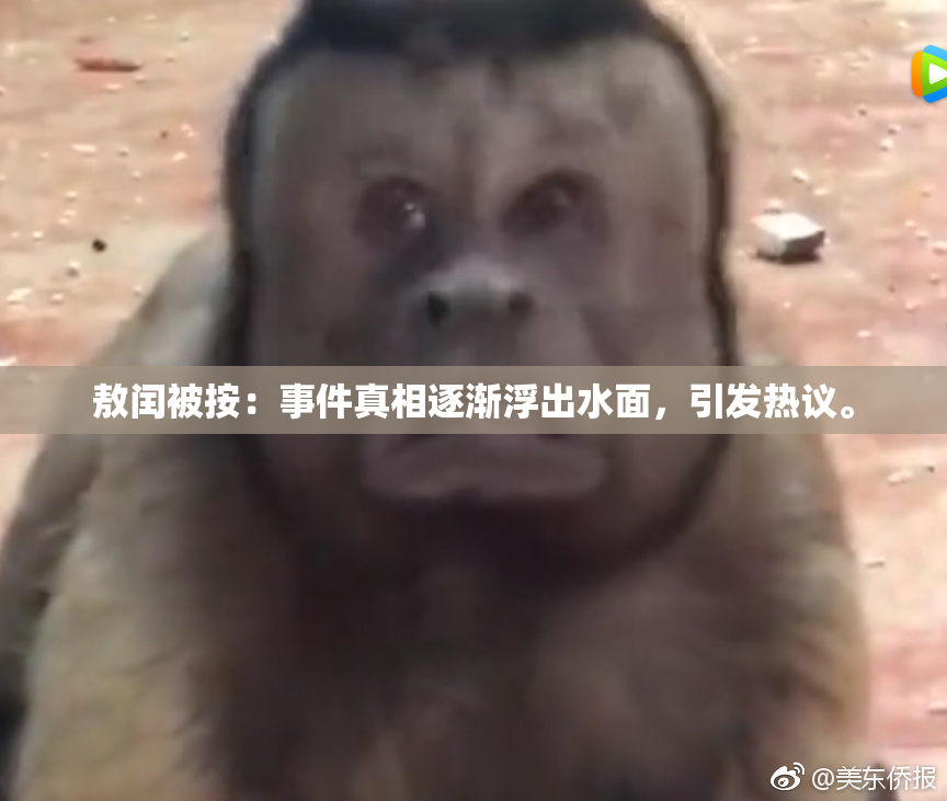 敖闰被按：事件真相逐渐浮出水面，引发热议。