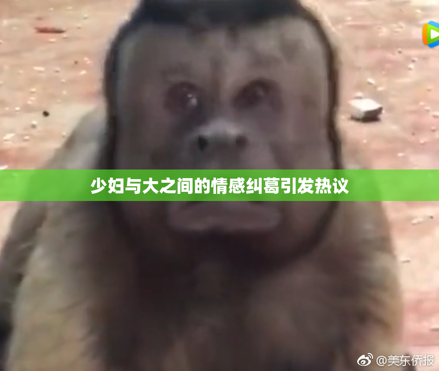少妇与大之间的情感纠葛引发热议