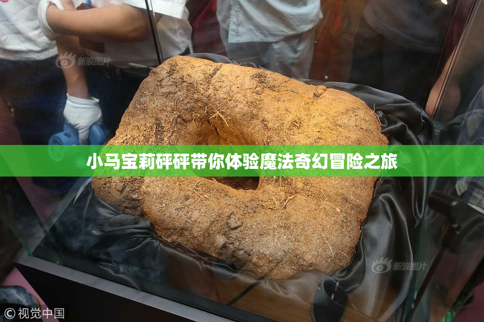 小马宝莉砰砰带你体验魔法奇幻冒险之旅