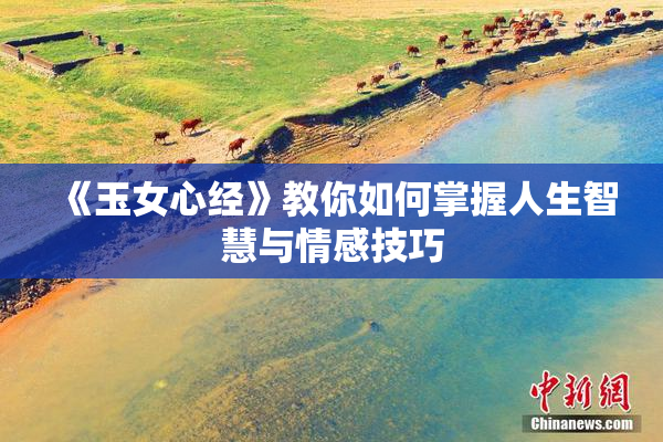 《玉女心经》教你如何掌握人生智慧与情感技巧