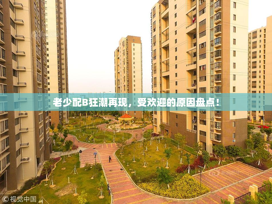 老少配B狂潮再现，受欢迎的原因盘点！