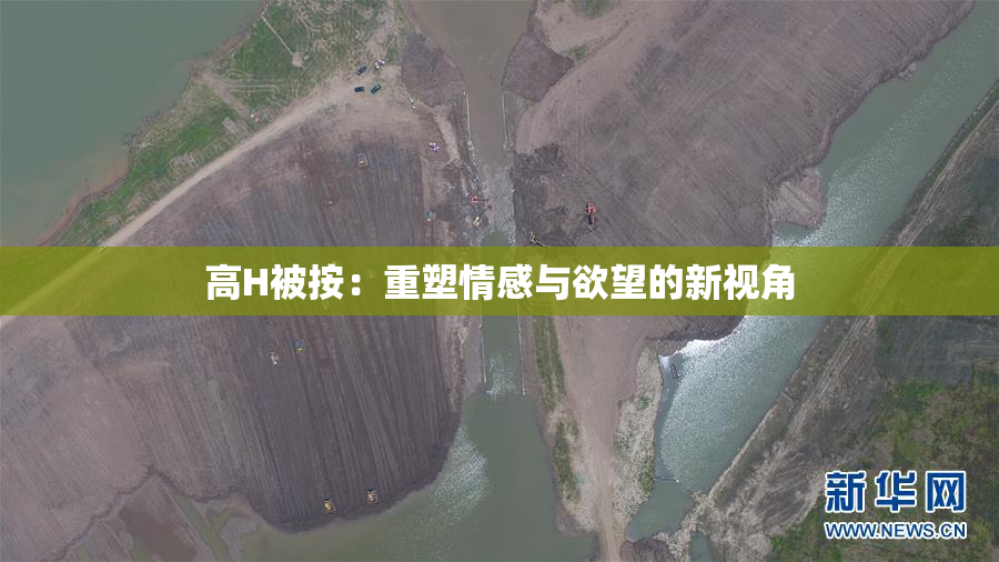高H被按：重塑情感与欲望的新视角