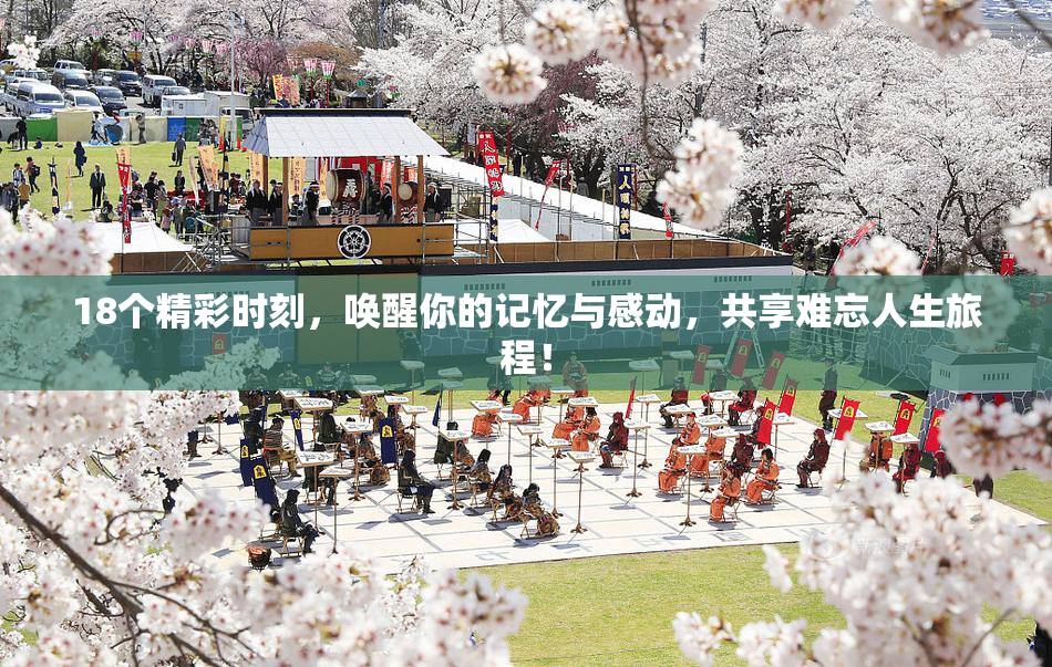 18个精彩时刻，唤醒你的记忆与感动，共享难忘人生旅程！