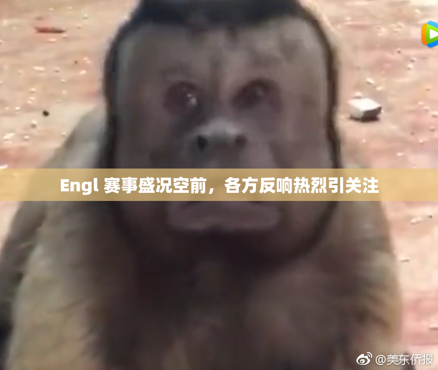 Engl 赛事盛况空前，各方反响热烈引关注