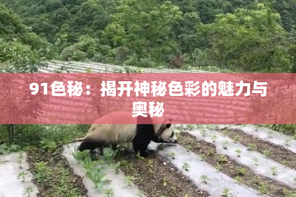91色秘：揭开神秘色彩的魅力与奥秘