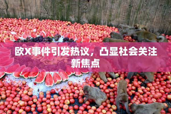 欧X事件引发热议，凸显社会关注新焦点