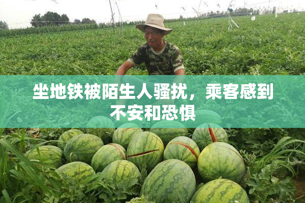 坐地铁被陌生人骚扰，乘客感到不安和恐惧