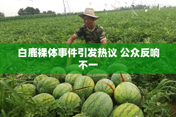 白鹿裸体事件引发热议 公众反响不一