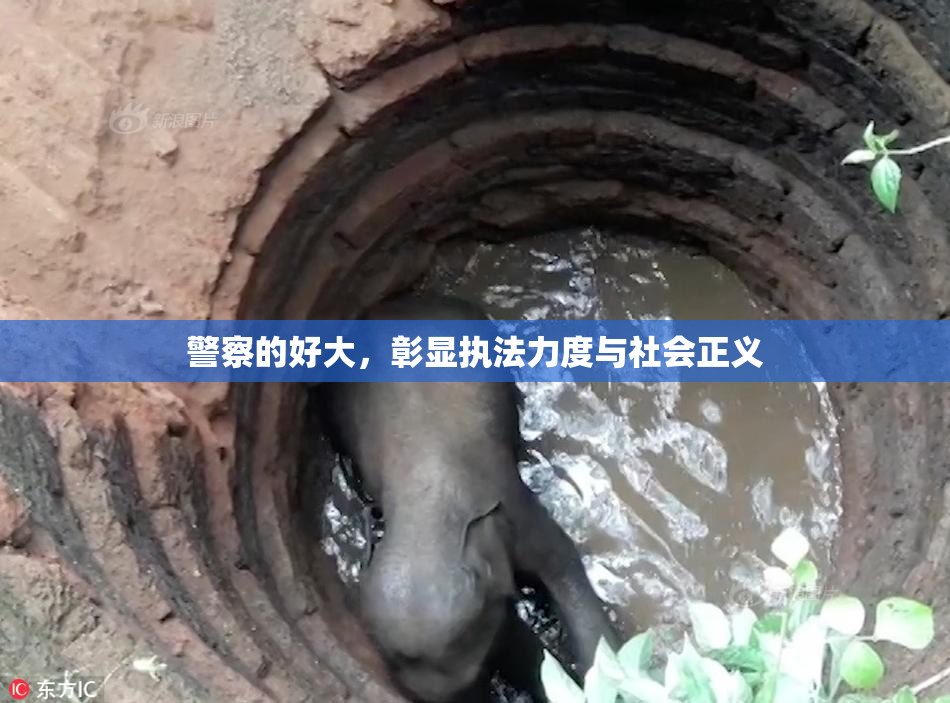 警察的好大，彰显执法力度与社会正义