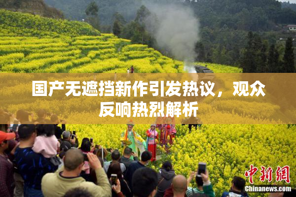 国产无遮挡新作引发热议，观众反响热烈解析