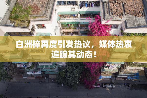 白洲梓再度引发热议，媒体热衷追踪其动态！
