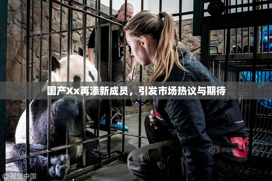 国产Xx再添新成员，引发市场热议与期待