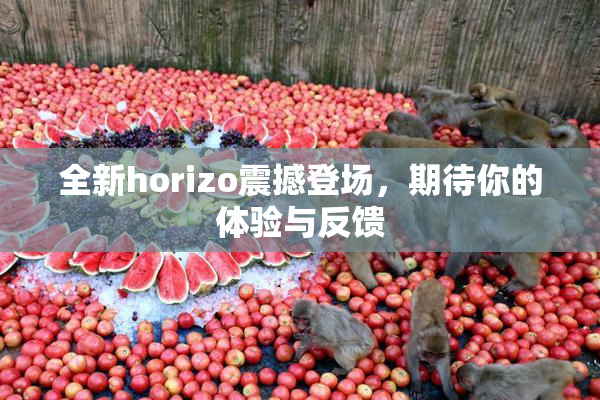 全新horizo震撼登场，期待你的体验与反馈