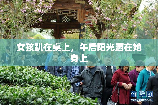 女孩趴在桌上，午后阳光洒在她身上