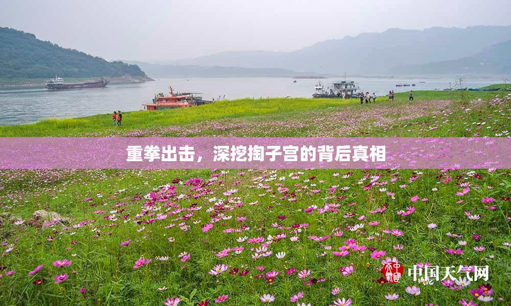 重拳出击，深挖掏子宫的背后真相