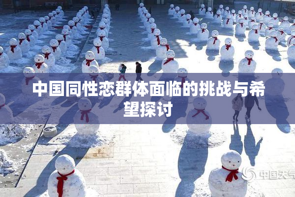 中国同性恋群体面临的挑战与希望探讨