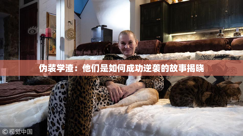 伪装学渣：他们是如何成功逆袭的故事揭晓