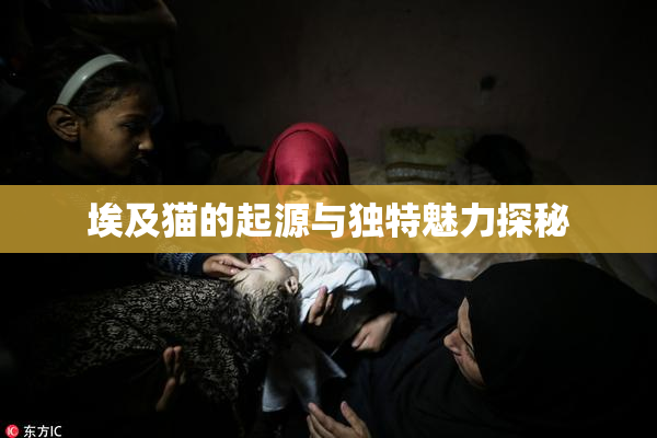 埃及猫的起源与独特魅力探秘