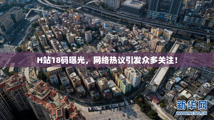 H站18码曝光，网络热议引发众多关注！