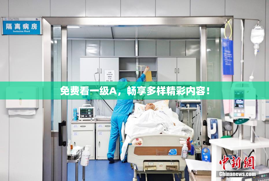 免费看一级A，畅享多样精彩内容！