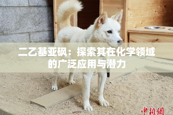 二乙基亚砜：探索其在化学领域的广泛应用与潜力
