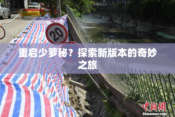 重启少萝秘？探索新版本的奇妙之旅
