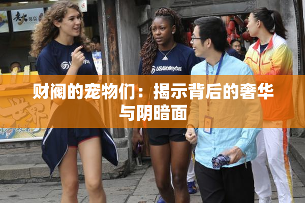 财阀的宠物们：揭示背后的奢华与阴暗面