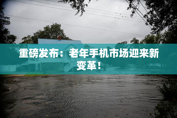 重磅发布：老年手机市场迎来新变革！