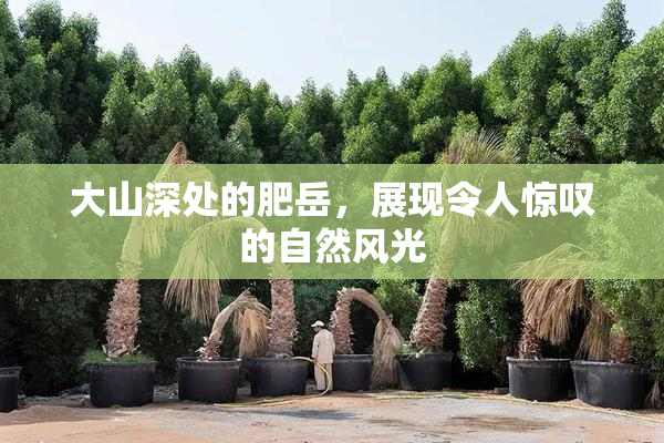 大山深处的肥岳，展现令人惊叹的自然风光