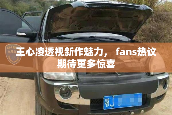 王心凌透视新作魅力， fans热议期待更多惊喜