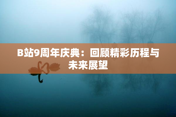 B站9周年庆典：回顾精彩历程与未来展望