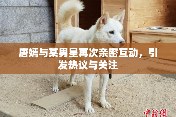 唐嫣与某男星再次亲密互动，引发热议与关注