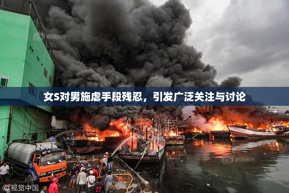 女S对男施虐手段残忍，引发广泛关注与讨论